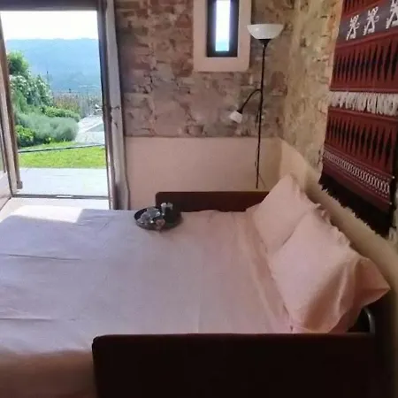 La Vigna Del Parroco 2 Taverna * Serralunga d'Alba